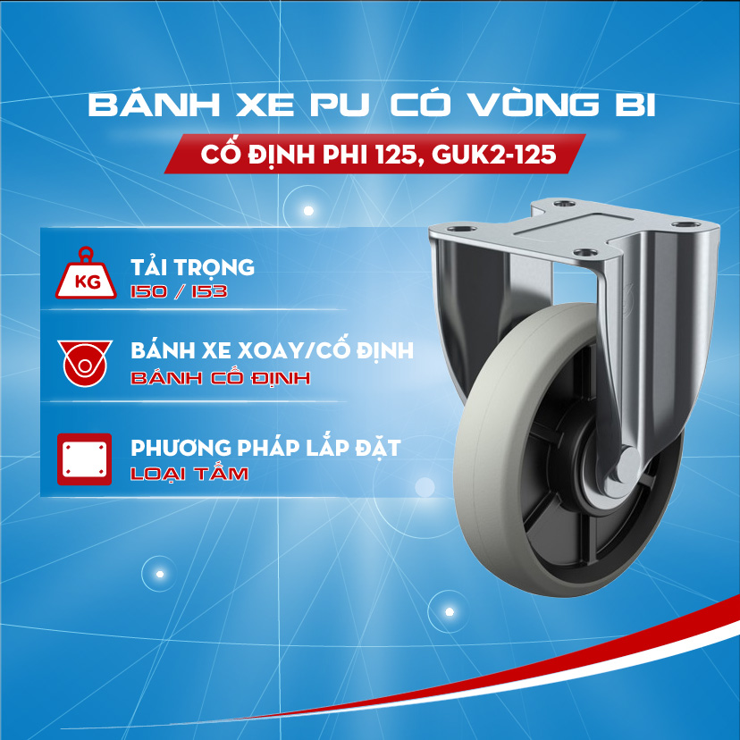co-dinh-phi-125-guk2-125-80